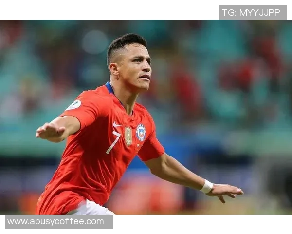 荷兰球星桑切斯的逆袭之路从无名小将到绿茵传奇的奋斗历程